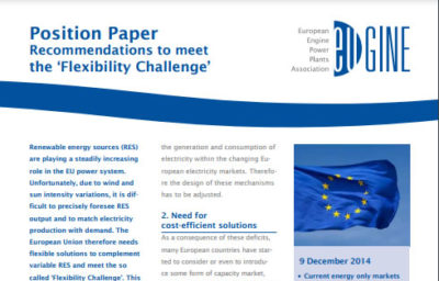 Position Paper - Recommendations to meet the "Flexibility Challenge"