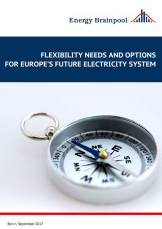 Flexibility needs and options for Europe’s future electricity System