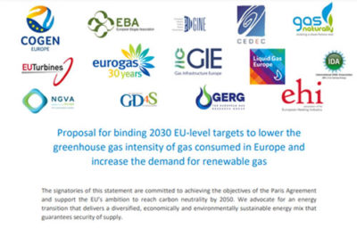 EUGINE Joins Call for Renewable and Decarbonised Gas Targets