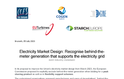 Joint Industry Statement: Recognise behind-the-meter generation that supports the electricity grid